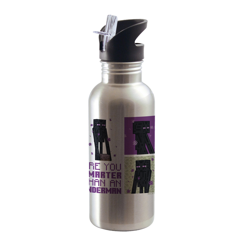 Minecraft - Stainless Steel Water Bottle - Grey Mob Characters - Video Game  Kids Water Bottle - 550ml on Vimeo