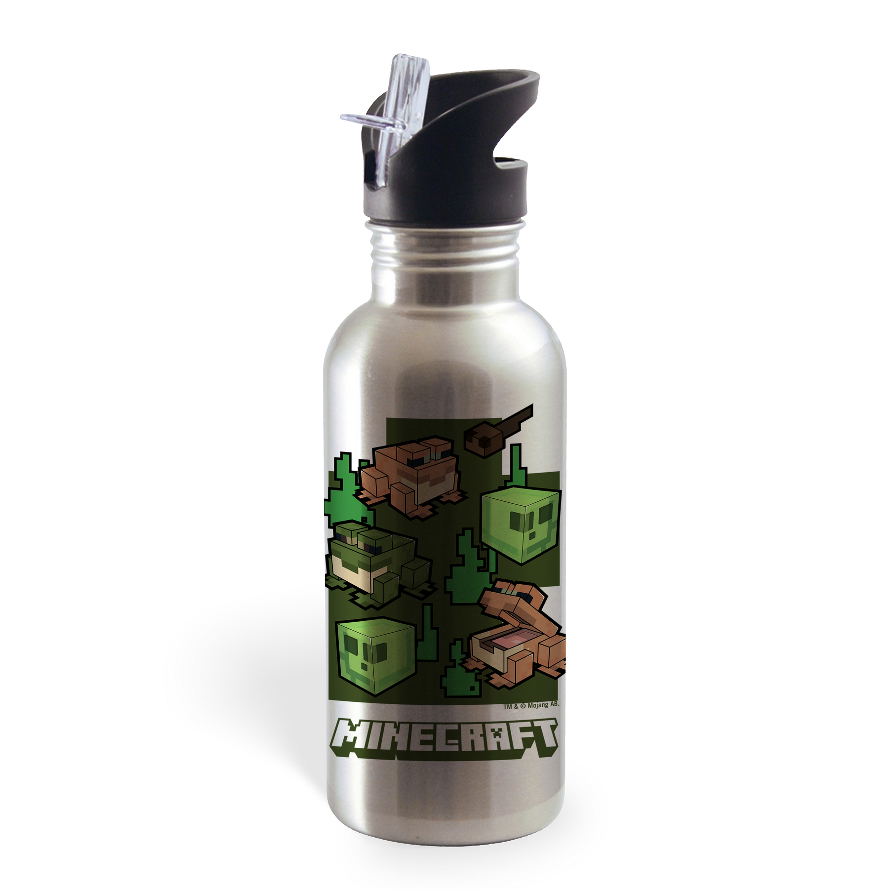 Minecraft Frogs 20 oz Screw Top Water Bottle with Straw
